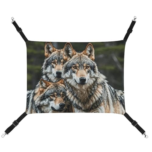 HJUQNGF Katzen-Hängematte, weich, atmungsaktiv, Haustier-Hängematte mit Metallhaken, Wölfe, Wildtiere, tragbar, Katzenkäfig, Bett für Katzen, kleine Hunde, Kleintiere HJUQNGF Katzen-Hängematte, weich, atmungsaktiv, Haustier-Hängematte mit Metallhaken, Wölfe, Wildtiere, tragbar, Katzenkäfig, Bett für Katzen, kleine Hunde, Kleintiere von HJUQNGF