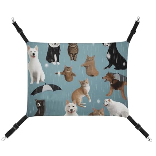 HJUQNGF Katzen-Hängematte, weich, atmungsaktiv, Haustier-Hängematte mit Metallhaken, regnet Katzen und Hunde, schlafende Hängematte, tragbares Katzenkäfigbett für Katzen, kleine Hunde, Kleintiere HJUQNGF Katzen-Hängematte, weich, atmungsaktiv, Haustier-Hängematte mit Metallhaken, regnet Katzen und Hunde, schlafende Hängematte, tragbares Katzenkäfigbett für Katzen, kleine Hunde, Kleintiere von HJUQNGF