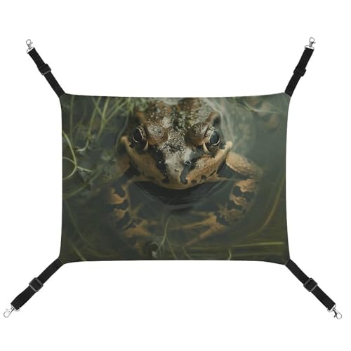 HJUQNGF Katzenhängematte, weich, atmungsaktiv, Haustierhängematte mit Metallhaken, Frosch und Grünalgen, Schlafhängematte, tragbares Katzenkäfigbett für Katzen, kleine Hunde, Kleintiere HJUQNGF Katzenhängematte, weich, atmungsaktiv, Haustierhängematte mit Metallhaken, Frosch und Grünalgen, Schlafhängematte, tragbares Katzenkäfigbett für Katzen, kleine Hunde, Kleintiere von HJUQNGF