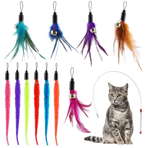 HJZHII 12-teiliges Katzenspielzeug-Set, 5-teiliges Ersatz-Federspielzeug für Katzen und 6 Nachfüllungen, Wurm-Katzenspielzeug mit 1 einziehbarem Katzenstab-Aufsatz für Katze, Kätzchen, Übungstraining von HJZHII