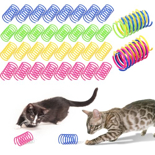 HJZHII 40 Stück Bunte Spirale Katzenspielzeug, Katze Spirale Spielzeug Spielzeug Katze Spiralen Katzenspielzeug Set Neuheit Haustier Spiralfedern für Kätzchen von HJZHII