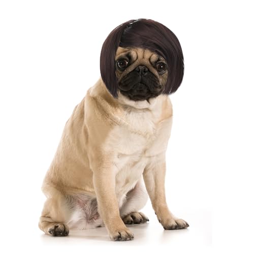 HJZHII Lustige Cosplay-Perücke für Hunde, verstellbare Haustierkostüm-Perücke, Kopfbedeckung, Dekoration für kleine, mittelgroße und große Hunde, Katzen, Halloween, Weihnachten, Ostern, Partyzubehör HJZHII Lustige Cosplay-Perücke für Hunde, verstellbare Haustierkostüm-Perücke, Kopfbedeckung, Dekoration für kleine, mittelgroße und große Hunde, Katzen, Halloween, Weihnachten, Ostern, Partyzubehör von HJZHII