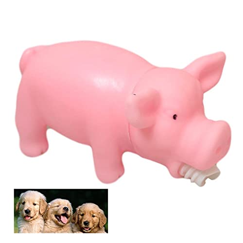 Quietschendes Schweinchen Hund Kauspielzeug Haustier Zahnen Spielzeug bauen Starke Zähne & Zahnfleisch Dental Hund Training Spielzeug (2 x quietschendes Schwein) von HK Online