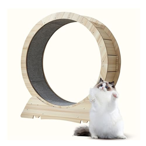 Katzenlaufrad, Ultra-leises Katzenlaufband für den Innenbereich für Hauskatzen, Abnehmbares Laufband, Laufband für kleine und mittelgroße Katzen, zum Laufen, Spazierengehen und Trainieren von Katzen(M Katzenlaufrad, Ultra-leises Katzenlaufband für den Innenbereich für Hauskatzen, Abnehmbares Laufband, Laufband für kleine und mittelgroße Katzen, zum Laufen, Spazierengehen und Trainieren von Katzen(M von HKHKH