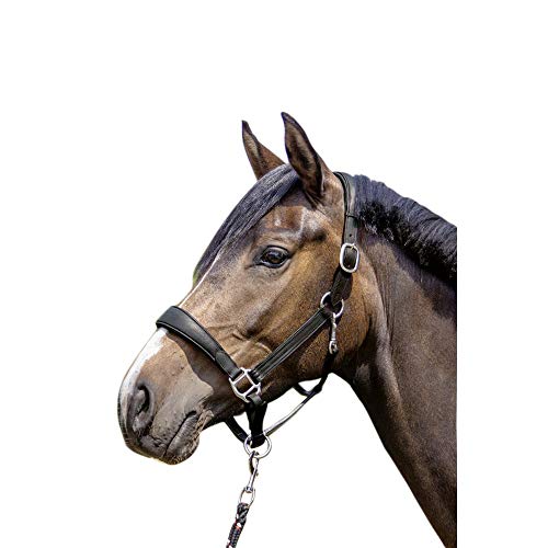 HKM 12260 Mira Halfter & Stricke 9100 schwarz Warmblut , HKM 12260 Mira Halfter & Stricke 9100 schwarz Warmblut , von HKM