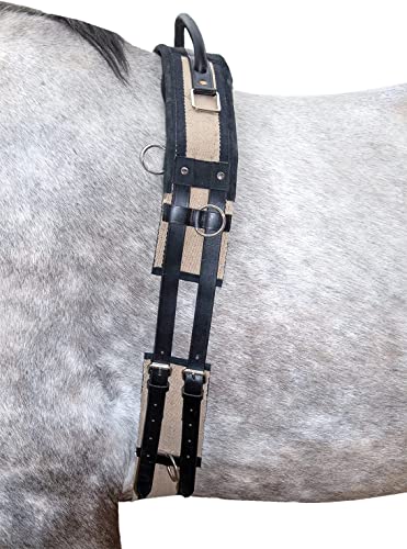 HKM Pferde Longiergurt mit Haltegriff – Gurt zum Longieren aus besonders strapazierfähigem Canvas-Material und Strupfen aus Leder | Ausführung: Pony (Schwarz-Beige) von HKM
