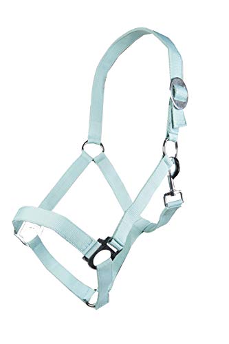 HKM 4000315614257 Halfter -Stars Economy Softice-5298 Milky Aquavollblut HKM 4000315614257 Halfter -Stars Economy Softice-5298 Milky Aquavollblut von HKM