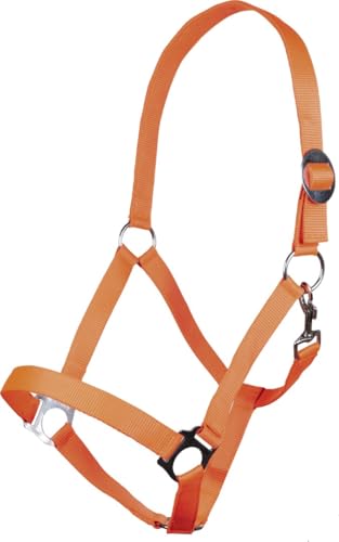 HKM 544147 Halfter Stars Economy Softice HKM 544147 Halfter Stars Economy Softice von HKM