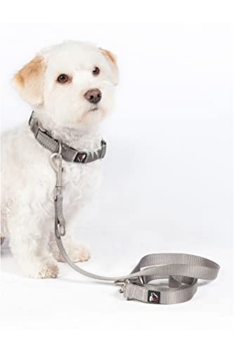 HKM ANAM Cara Hundetrainingsleine Taupe L HKM ANAM Cara Hundetrainingsleine Taupe L von HKM