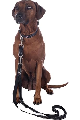HKM ANAM Cara Nylon Hundetrainingsleine, Schwarz, L HKM ANAM Cara Nylon Hundetrainingsleine, Schwarz, L von HKM