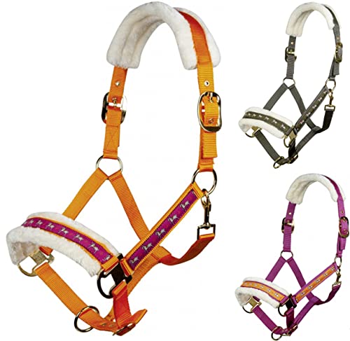 HKM Allure Cheval Halfter Orange Vollblut HKM Allure Cheval Halfter Orange Vollblut von HKM