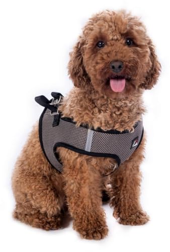 HKM Buddy Soft Hundegeschirr, Steingrau, S HKM Buddy Soft Hundegeschirr, Steingrau, S von HKM