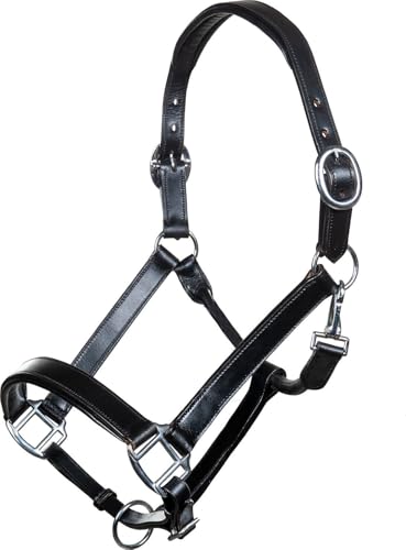 HKM Economic Lederhalfter 9100 Schwarz Warmblut von HKM