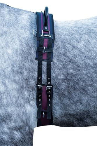 HKM Exclusive Longiergurt Navy/Weinrot Gestreift Pony HKM Exclusive Longiergurt Navy/Weinrot Gestreift Pony von HKM
