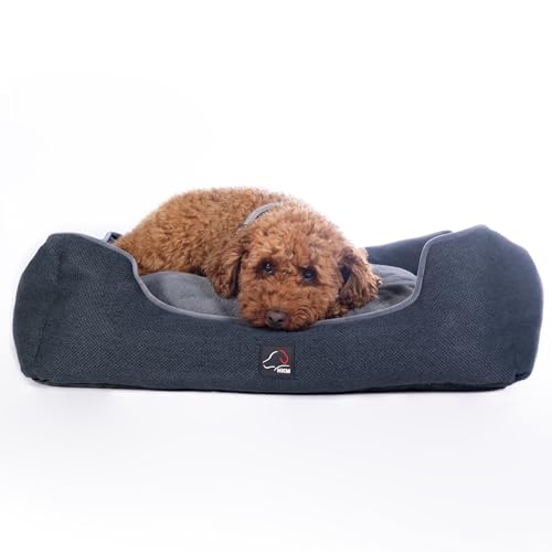 HKM Hundebett Buddy mit herausnehmbaren Hundekissen – Waschbares Hundebett in 3 Größen: Hundebett Grosse, mittelgroße, kleine Hunde. Wasserabweisende Unterseite für Einsatz als Hundebett Outdoor. (L) HKM Hundebett Buddy mit herausnehmbaren Hundekissen – Waschbares Hundebett in 3 Größen: Hundebett Grosse, mittelgroße, kleine Hunde. Wasserabweisende Unterseite für Einsatz als Hundebett Outdoor. (L) von HKM