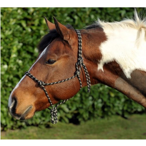 HKM Knotenhalfter schwarz/beige Full/Warmblut von HKM