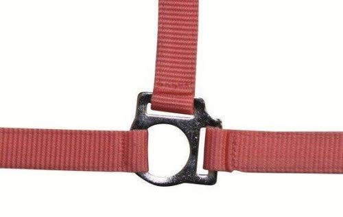HKM Stars Economy Halfter Rosa Pony von HKM