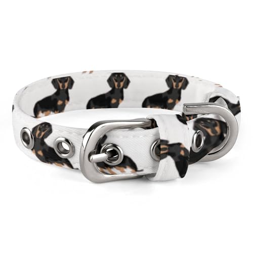 Hundehalsband, Dackel-Motiv, bedruckt, verstellbar, geeignet für kleine und mittelgroße Hunde, Katzen Hundehalsband, Dackel-Motiv, bedruckt, verstellbar, geeignet für kleine und mittelgroße Hunde, Katzen von HKMNTGD