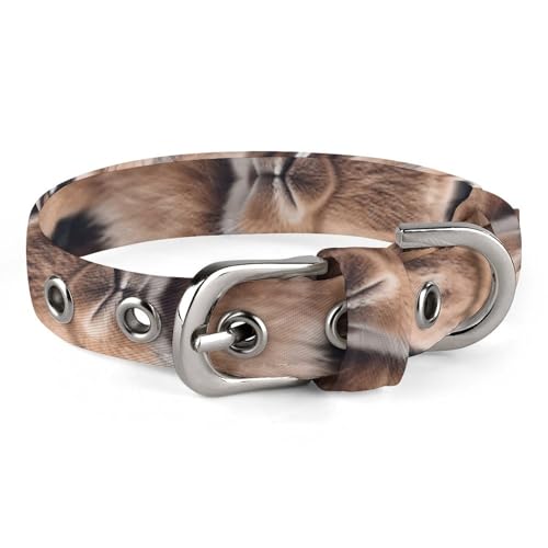 Hundehalsband, Kaninchen auf Bett, bedrucktes Haustierhalsband, verstellbar, geeignet für kleine und mittelgroße Hunde, Katzen Hundehalsband, Kaninchen auf Bett, bedrucktes Haustierhalsband, verstellbar, geeignet für kleine und mittelgroße Hunde, Katzen von HKMNTGD
