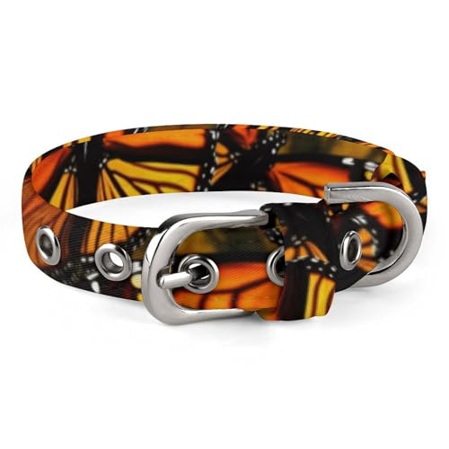 Hundehalsband, Monarch-Schmetterlinge, bedruckt, verstellbar, geeignet für kleine und mittelgroße Hunde, Katzen Hundehalsband, Monarch-Schmetterlinge, bedruckt, verstellbar, geeignet für kleine und mittelgroße Hunde, Katzen von HKMNTGD