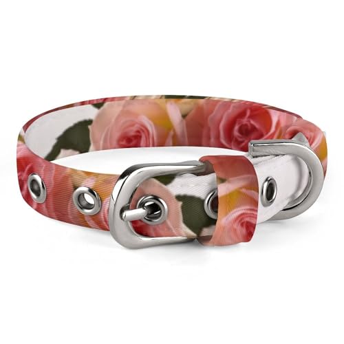 Hundehalsband, Rosen-Blumendruck, verstellbares Haustierhalsband, geeignet für kleine und mittelgroße Hunde, Katzen Hundehalsband, Rosen-Blumendruck, verstellbares Haustierhalsband, geeignet für kleine und mittelgroße Hunde, Katzen von HKMNTGD