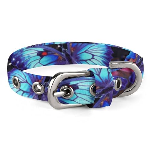 Hundehalsband, Schmetterlings-Motiv, verstellbar, geeignet für kleine und mittelgroße Hunde, Katzen Hundehalsband, Schmetterlings-Motiv, verstellbar, geeignet für kleine und mittelgroße Hunde, Katzen von HKMNTGD
