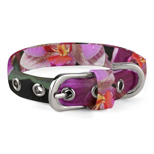 Hundehalsband, bedruckt mit Orchideen, verstellbares Haustierhalsband, geeignet für kleine und mittelgroße Hunde, Katzen Hundehalsband, bedruckt mit Orchideen, verstellbares Haustierhalsband, geeignet für kleine und mittelgroße Hunde, Katzen von HKMNTGD