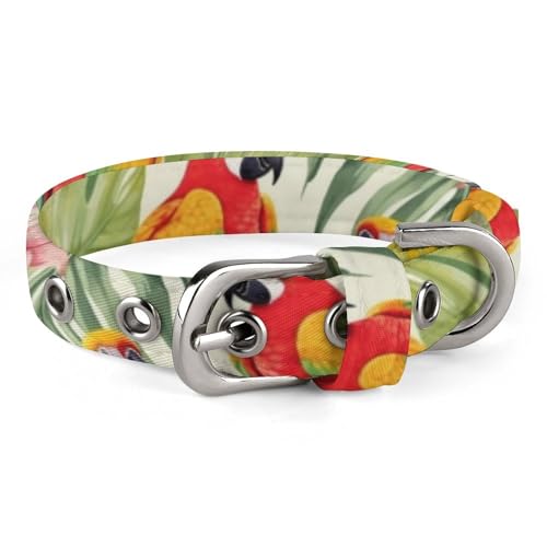 Hundehalsband, bedruckt mit tropischen Pflanzen und Papageien, verstellbares Haustierhalsband, geeignet für kleine und mittelgroße Hunde, Katzen Hundehalsband, bedruckt mit tropischen Pflanzen und Papageien, verstellbares Haustierhalsband, geeignet für kleine und mittelgroße Hunde, Katzen von HKMNTGD