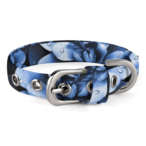 Hundehalsband, blaues Blumendruck, verstellbares Haustierhalsband, geeignet für kleine und mittelgroße Hunde, Katzen Hundehalsband, blaues Blumendruck, verstellbares Haustierhalsband, geeignet für kleine und mittelgroße Hunde, Katzen von HKMNTGD