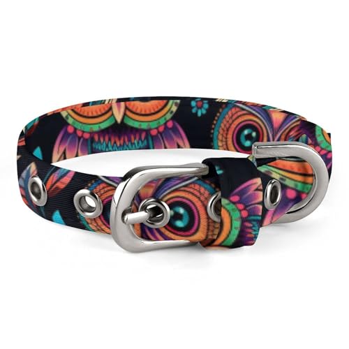 Hundehalsband, buntes Eulenbild, bedrucktes Haustierhalsband, verstellbar, geeignet für kleine und mittelgroße Hunde, Katzen Hundehalsband, buntes Eulenbild, bedrucktes Haustierhalsband, verstellbar, geeignet für kleine und mittelgroße Hunde, Katzen von HKMNTGD