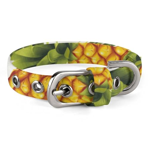 Hundehalsband, gelbe Ananas auf weißem Hintergrund, Illustration, bedrucktes Haustierhalsband, verstellbares Haustierhalsband, geeignet für kleine und mittelgroße Hunde, Katzen Hundehalsband, gelbe Ananas auf weißem Hintergrund, Illustration, bedrucktes Haustierhalsband, verstellbares Haustierhalsband, geeignet für kleine und mittelgroße Hunde, Katzen von HKMNTGD