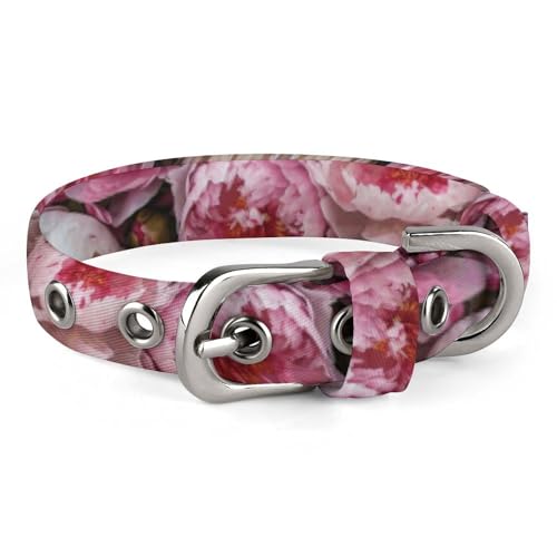 Hundehalsband, pfirsichfarben und weiße Pfingstrosen, bedruckt, verstellbares Haustierhalsband, geeignet für kleine und mittelgroße Hunde, Katzen Hundehalsband, pfirsichfarben und weiße Pfingstrosen, bedruckt, verstellbares Haustierhalsband, geeignet für kleine und mittelgroße Hunde, Katzen von HKMNTGD