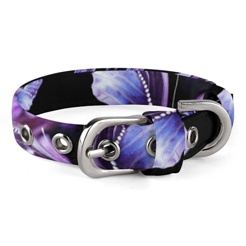 Hundehalsband, schönes violettes Schmetterlings-Motiv, verstellbares Haustierhalsband, geeignet für kleine und mittelgroße Hunde, Katzen Hundehalsband, schönes violettes Schmetterlings-Motiv, verstellbares Haustierhalsband, geeignet für kleine und mittelgroße Hunde, Katzen von HKMNTGD