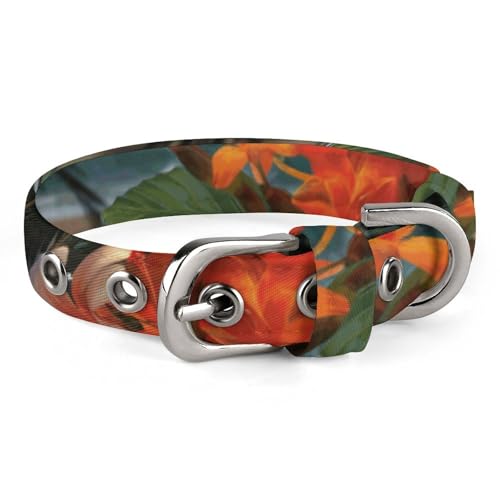 Hundehalsband, tropische Blumen und Dekorationen, bedrucktes Haustierhalsband, verstellbar, geeignet für kleine und mittelgroße Hunde, Katzen Hundehalsband, tropische Blumen und Dekorationen, bedrucktes Haustierhalsband, verstellbar, geeignet für kleine und mittelgroße Hunde, Katzen von HKMNTGD