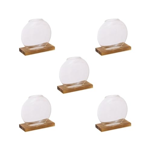 Pflanzen-Anzuchtstation, Glas, Pflanzgefäß, Terrarium mit Holzständer, tiefe Holzfarbe, 5er-Set von HKWFKAWA