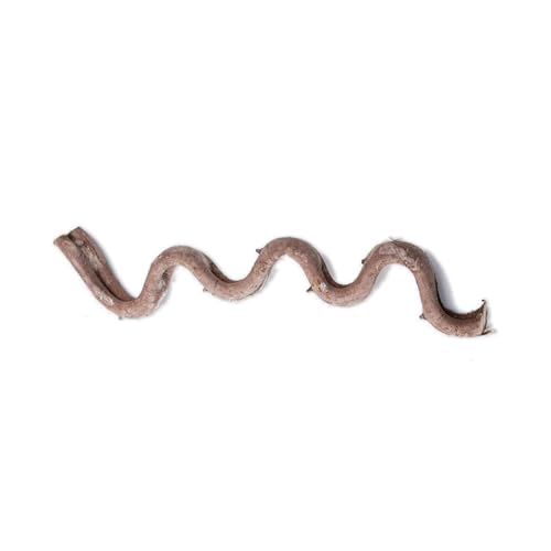 HLBEST Natürliche Reptilien Eckzweig Klettern Rattan Rebe Für Terrarien Dekorative Pflanze Rattanrohr Für Eidechsen Schlange HLBEST Natürliche Reptilien Eckzweig Klettern Rattan Rebe Für Terrarien Dekorative Pflanze Rattanrohr Für Eidechsen Schlange von HLBEST