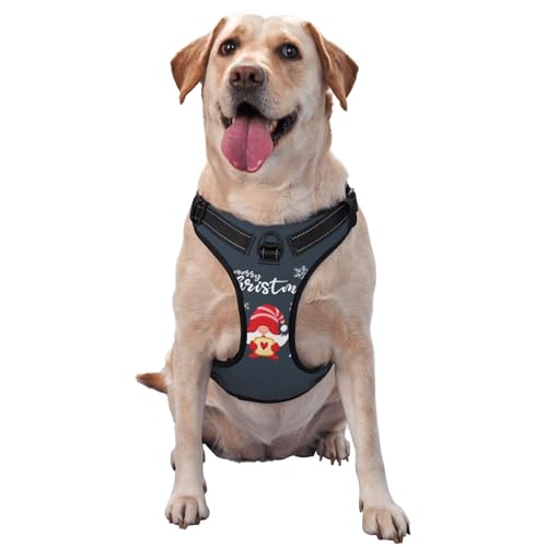 Hundegeschirr für kleine, mittelgroße und große Hunde, einfaches Gehen, süßes Weihnachts-K-Hundegeschirr ohne Ziehen, verstellbar, atmungsaktiv, reflektierende Haustierweste für Training, Spazieren von HLBSDM