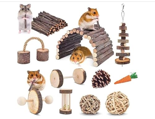 HLMOptimo Chinchillas Kauspielzeug, Spielzeug Zubehör für die Zahnpflege, natürliches Apfelholz, Leiter Glockenroller für russische Hamster, Rennmäuse, Ratten, Meerschweinchen, 11 Stück von HLMOptimo