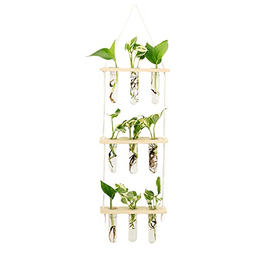 HLTER Wandbehang Glas-Pflanzgefäß, 3 Ebenen Mini Reagenzglas Blumenvasen Pflanzen-Terrarium mit Holzständer Reagenzglas Vase Air Planter Halter für Hydrokulturpflanzen von HLTER