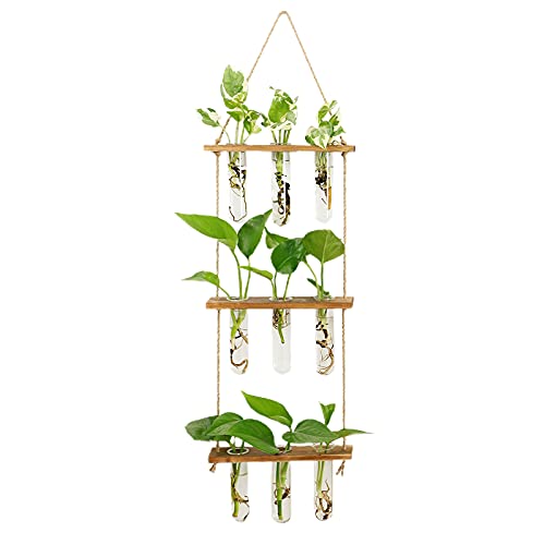 HLTER Wandbehang Glas-Pflanzgefäß, 3 Ebenen Mini Reagenzglas Blumenvasen Pflanzen-Terrarium mit Holzständer Reagenzglas Vase Air Planter Halter für Hydrokulturpflanzen von HLTER