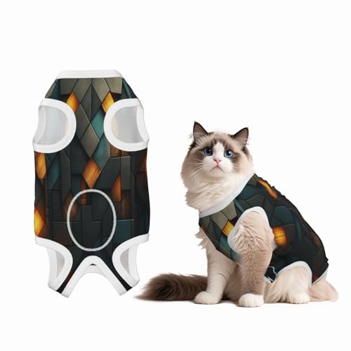 Abstrakter Wand-Genesungsanzug für Hunde und Katzen nach Operationen, Haustier-Genesungs-Shirt, Einteiler, Haustier-Operationsanzug Abstrakter Wand-Genesungsanzug für Hunde und Katzen nach Operationen, Haustier-Genesungs-Shirt, Einteiler, Haustier-Operationsanzug von HMBGFW