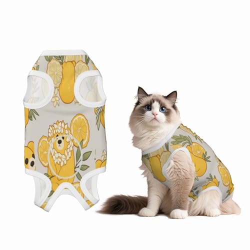Bär und Zitrone Genesungsanzug für Hunde und Katzen nach Operationen, Haustier-Genesungs-Shirt, Einteiler, Haustier-Operationsanzug von HMBGFW