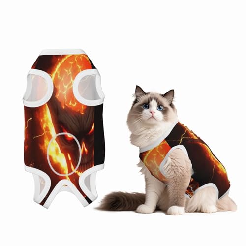 Flameskull Genesungsanzug für Hunde und Katzen nach Operationen, Haustier-Genesungs-Shirt, Einteiler, Haustier-Operationsanzug Flameskull Genesungsanzug für Hunde und Katzen nach Operationen, Haustier-Genesungs-Shirt, Einteiler, Haustier-Operationsanzug von HMBGFW
