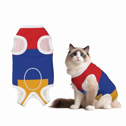 Genesungsanzug mit Flagge von Armenien für Hunde und Katzen nach Operationen, Haustier-Genesungs-Shirt, Einteiler, Haustier-Operationsanzug von HMBGFW