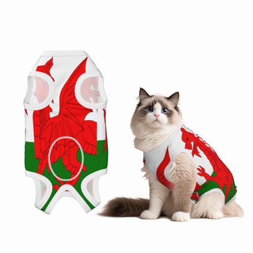Genesungsanzug mit Flagge von Wales, für Hunde und Katzen nach Operationen, Haustier-Erholungsshirt, Einteiler für Haustiere, Operationsanzug von HMBGFW