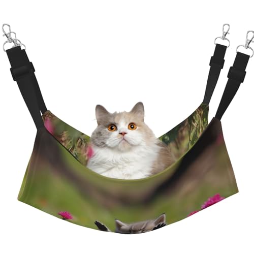 HMBGFW Niedliche Kätzchen im Rasen reversible Katze hängende Hängematte weich atmungsaktive Haustierkäfig Hängematte mit doppelseitigem hängendem Bett für kleine Hunde Kaninchen HMBGFW Niedliche Kätzchen im Rasen reversible Katze hängende Hängematte weich atmungsaktive Haustierkäfig Hängematte mit doppelseitigem hängendem Bett für kleine Hunde Kaninchen von HMBGFW