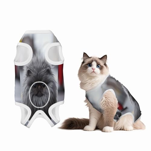 Katzen-Erholungsanzug für Hunde und Katzen nach Operationen, Haustier-Erholungsshirt, Einteiler für Haustiere, Operationsanzug von HMBGFW