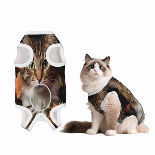 Katzen-Genesungsanzug für Hunde und Katzen nach Operationen, Haustier-Genesungs-Shirt, Einteiler, Haustier-Operationsanzug Katzen-Genesungsanzug für Hunde und Katzen nach Operationen, Haustier-Genesungs-Shirt, Einteiler, Haustier-Operationsanzug von HMBGFW