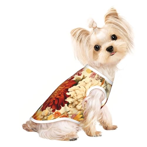 Niedliche Hundekleidung, Hunde-T-Shirt für kleine Hunde, Mädchen, Jungen. Haustier-Pullover, Katzenkleidung, geeignet für kleine Haustiere von HMBGFW