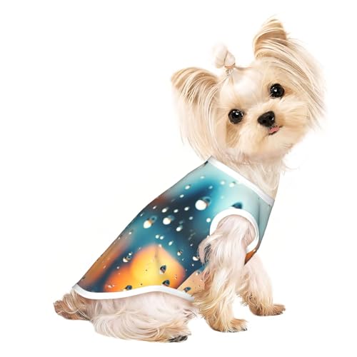 Niedliche Hundekleidung, Hunde-T-Shirt für kleine Hunde, Mädchen, Jungen. Haustier-Pullover, Katzenkleidung, geeignet für kleine Haustiere von HMBGFW